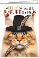 Orange Tabby Maine Coon Thanksgiving Cat Grateful for PURRkey Day card