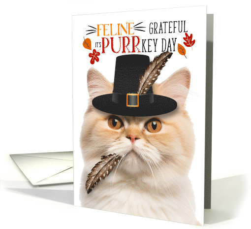 Munchkin Thanksgiving Cat Grateful for PURRkey Day card (1838130)