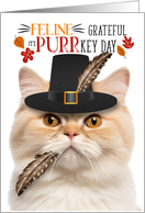 Munchkin Thanksgiving Cat Grateful for PURRkey Day card