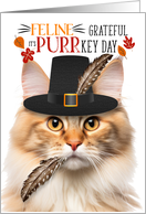 Norwegian Forest Cat Apricot Thanksgiving Grateful for PURRkey Day card