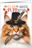Norwegian Forest Cat Red Tabby Thanksgiving Grateful PURRkey Day card