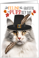 Norwegian Forest Cat Silver Tabby Thanksgiving Grateful PURRkey Day card