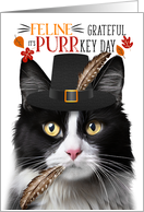 Black White Tuxedo Cat Thanksgiving Grateful PURRkey Day card