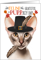 Oriental Shorthair Thanksgiving Cat Grateful for PURRkey Day card