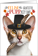 Oriental Tricolor Thanksgiving Cat Grateful for PURRkey Day card