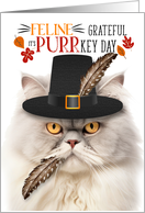 Cream Siliver Persian Thanksgiving Cat Grateful for PURRkey Day card