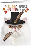 White Persian Thanksgiving Cat Grateful for PURRkey Day card
