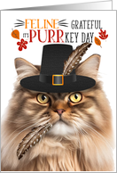 Tricolor Persian Thanksgiving Cat Grateful for PURRkey Day card