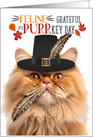 Orange Persian Thanksgiving Cat Grateful for PURRkey Day card