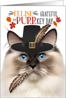 Ragdoll Seal Point Thanksgiving Cat Grateful for PURRkey Day card
