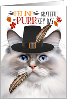 Ragdoll Lilac Point Thanksgiving Cat Grateful for PURRkey Day card
