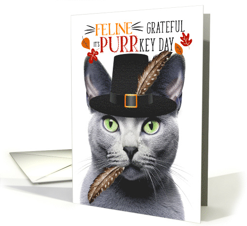 Russian Blue Gray Thanksgiving Cat Grateful for PURRkey Day card
