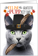 Russian Blue Gray Thanksgiving Cat Grateful for PURRkey Day card