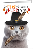 Scottish Fold Gray Thanksgiving Cat Grateful for PURRkey Day card