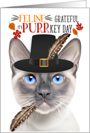 Siamese Lilac Point Thanksgiving Cat Grateful for PURRkey Day card