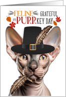 Sphynx Thanksgiving Cat Grateful for PURRkey Day card