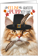 Orange Tabby Fluffy Thanksgiving Cat Grateful for PURRkey Day card