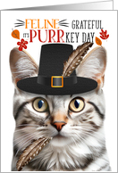 Silver Tabby Thanksgiving Cat Grateful for PURRkey Day card