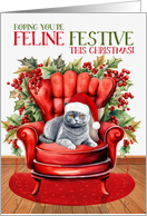 Gray British Shorthair Christmas Cat FELINE FESTIVE card