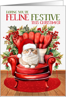 Orange British Shorthair Christmas Cat FELINE FESTIVE card