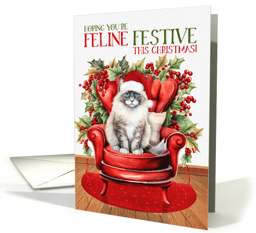 Ragdoll Christmas Cat FELINE FESTIVE card (1845014)