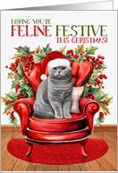 Gray Scottish Fold Christmas Cat FELINE FESTIVE card