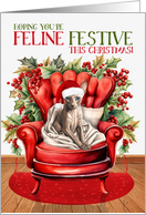 Sphynx Christmas Cat FELINE FESTIVE card