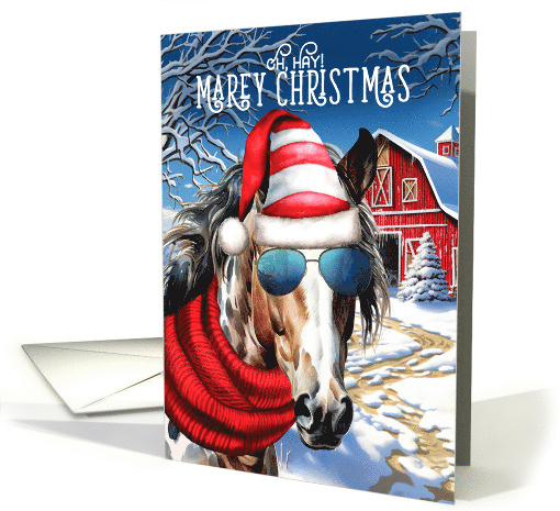Appaloosa Leopard Patterned Horse Funny MAREy Christmas card (1853572)