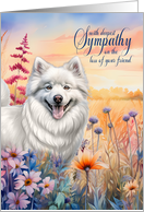 Sympathy American Eskimo Dog in a Wildflower Meadow card