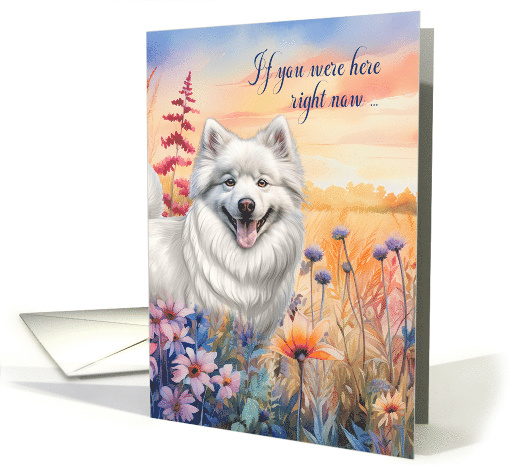 Miss You American Eskimo Dog in a Summer Wildflower Meadow card