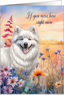 Miss You American Eskimo Dog in a Summer Wildflower Meadow card