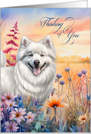 Thinking of You American Eskimo Dog with Wildflowers card