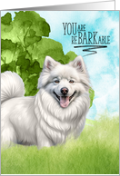 Congratulations reBARKable Eskimo Dog in the Country card
