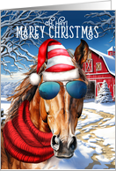 Bay Sorrel MAREy Christmas Funny Horse Lover Holiday card