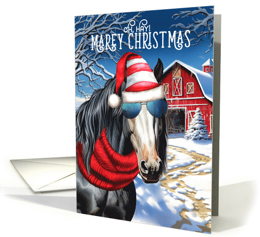 Gypsy Vanner Piebald Horse MAREy Christmas Funny Holiday card