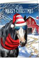 Gypsy Vanner Piebald Horse MAREy Christmas Funny Holiday card