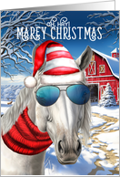 Lipizzan Horse MAREy Christmas Funny Western Holiday card