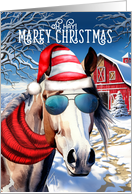 American Paint Horse MAREy Christmas Funny Western Holiday card