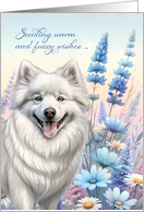 Get Well American Eskimo Dog with Blue Botanicals card