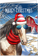 Clydesdale Bay MAREy Christmas Funny Horse Lover Holiday card