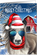 Miniature Black and White Horse Funny MAREy Christmas card