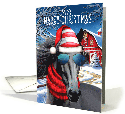 Friesian Horse Funny MAREy Christmas Horse Lover Holiday card