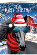 Friesian Horse Funny MAREy Christmas Horse Lover Holiday card
