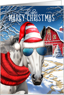 Arabian Dapple Grey Horse Funny MAREy Christmas card