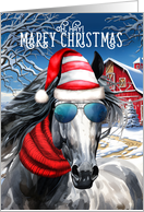Dapple Grey Horse Funny MAREy Christmas card