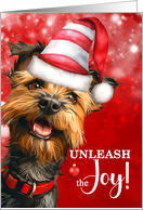 Berger Picard Dog Funny Christmas Pet Lover Unleash the Joy card