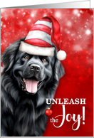 Newfoundland Funny Christmas Dog Unleash the Joy card