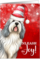 Sheepdog Dog Funny Christmas Pet Lover Unleash the Joy card