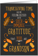 for Grandson Thanksgiving Immense Gratitude for You card