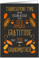 for Grandmother Thanksgiving Immense Gratitude for You card